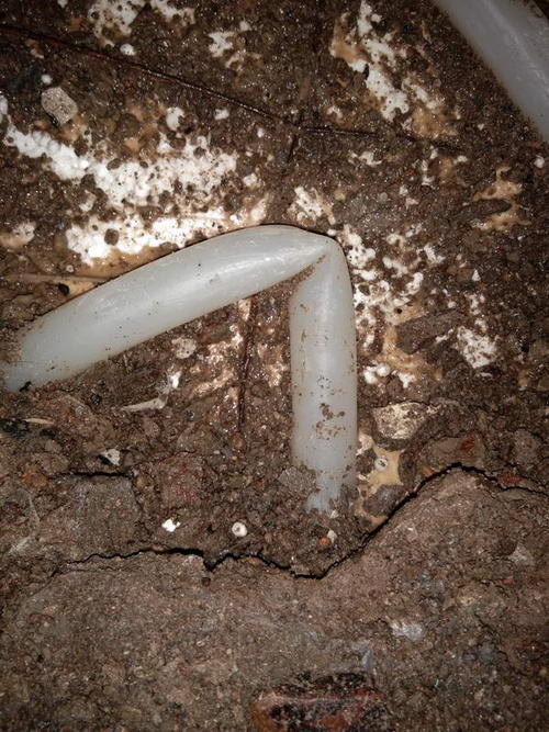 定兴堵点精准查找